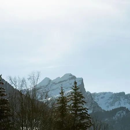 4 Pers Au Pied Des Commerces, 450 M Des Pistes - Fr-1-572-256